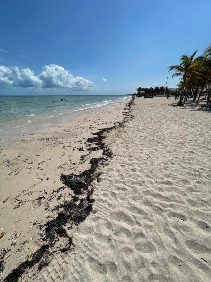 Itze Hostel Boutique - Progreso Progreso  Zewnętrze zdjęcie